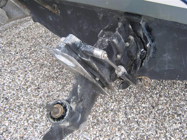 Bayliner 2556 Cierra CommandBridge billede 5