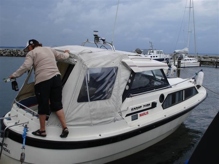 Saga Saga/Carat 7400 HT billede 2
