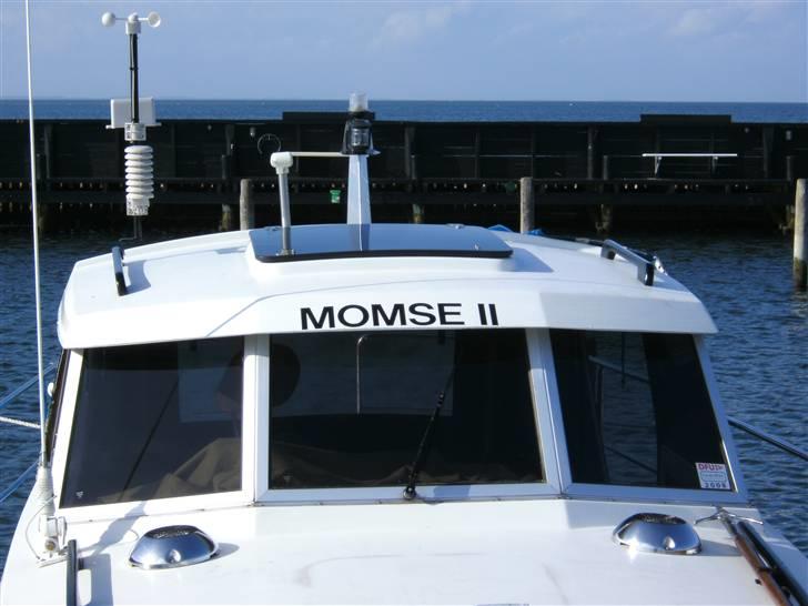 Safir safir\diana 26 - momse ll. hedder hun billede 4