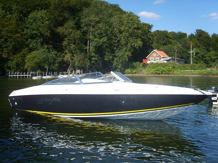 Baja 202 Islander  billede 8