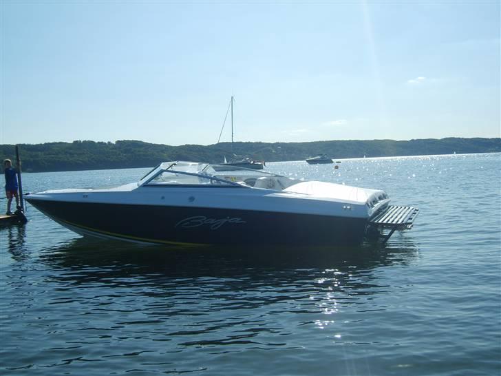 Baja 202 Islander  billede 9