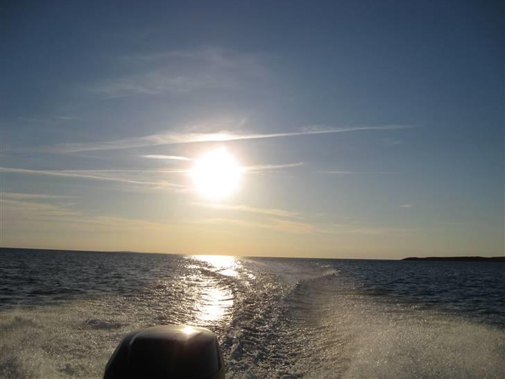 Campion Explorer 542 billede 10