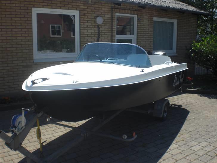 Hille '' Black Pearl'' (SOLGT) billede 1