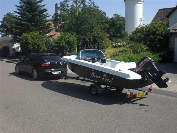 Hille '' Black Pearl'' (SOLGT) billede 6
