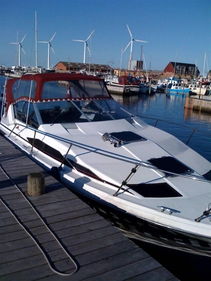 Bayliner Avanti  billede 14