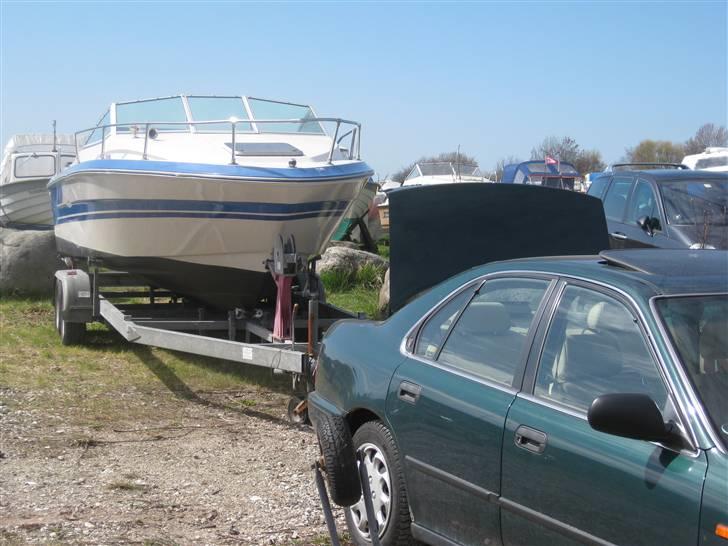 Sea Ray Seville billede 11