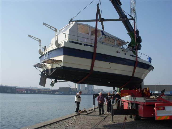 Wiking 28 billede 11