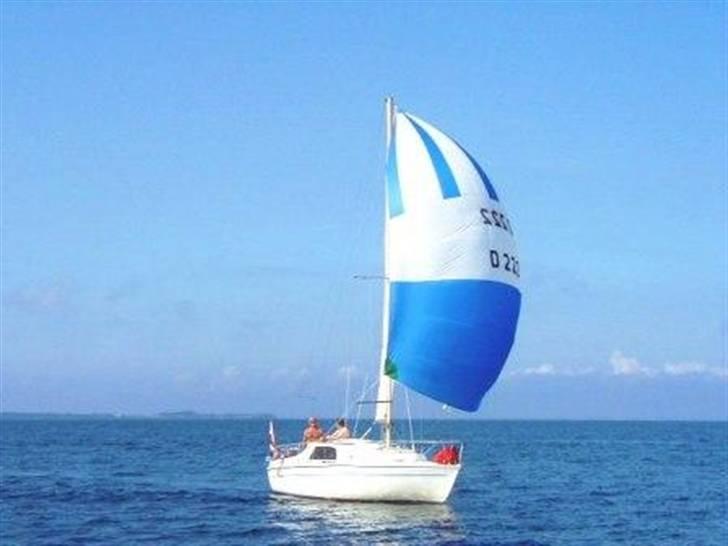 Danboat 23 billede 11
