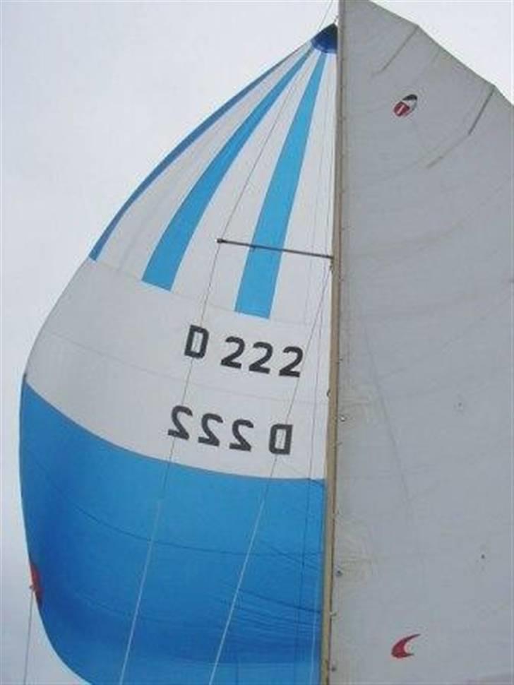 Danboat 23 billede 12