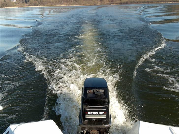 Sealine 480 HT billede 5