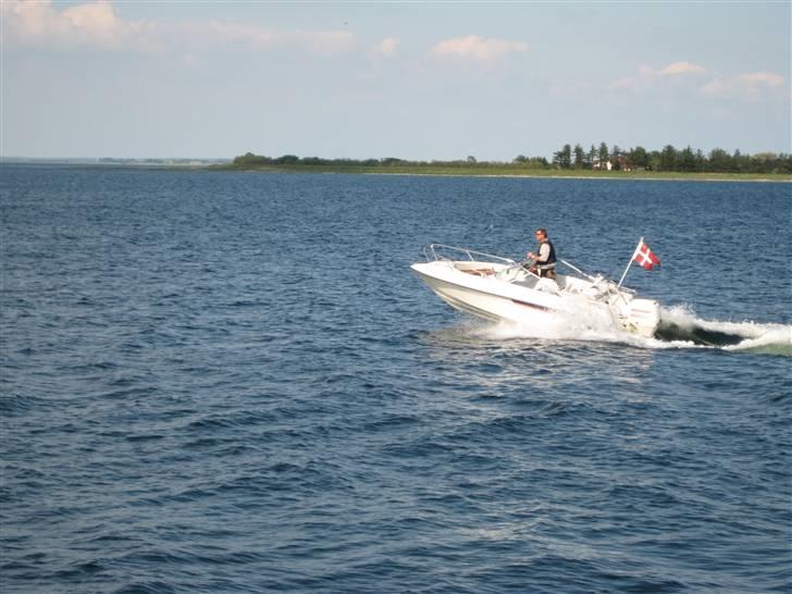 Ryds 515 GTX billede 6