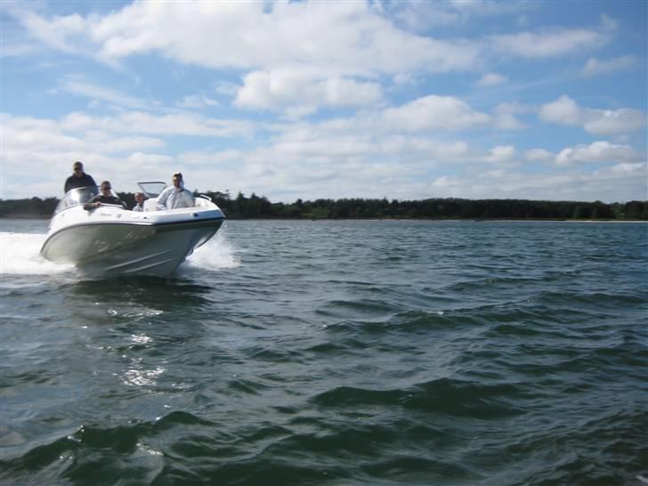 Seadoo Challenger 230 430Hk. billede 16