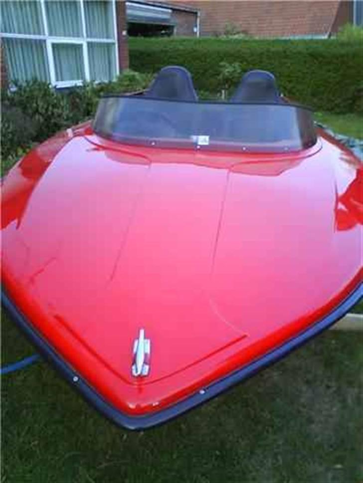 Mustang shakespeare  billede 2
