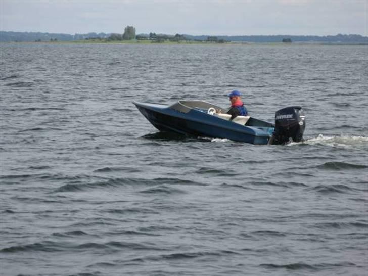 Labrador 143 SOLGT billede 4