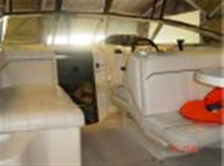 Sea Ray 240 sundancer billede 4