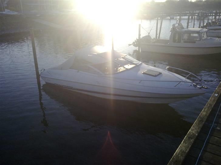 Wellcraft exeel billede 3