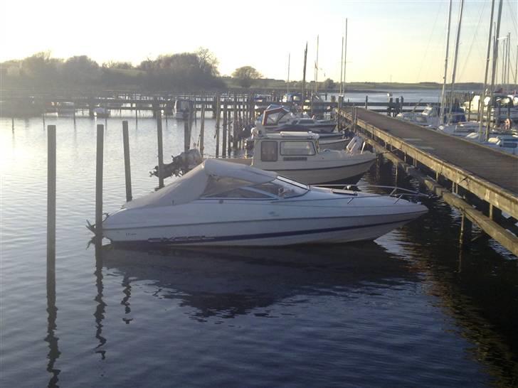 Wellcraft exeel billede 4