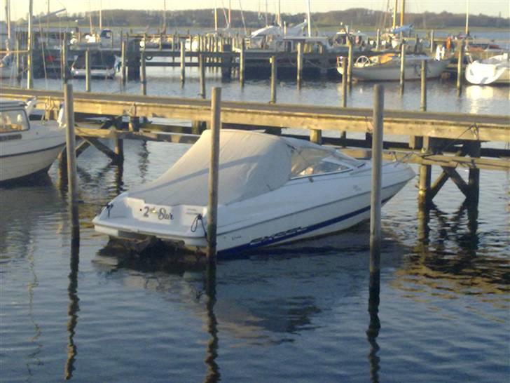 Wellcraft exeel billede 5
