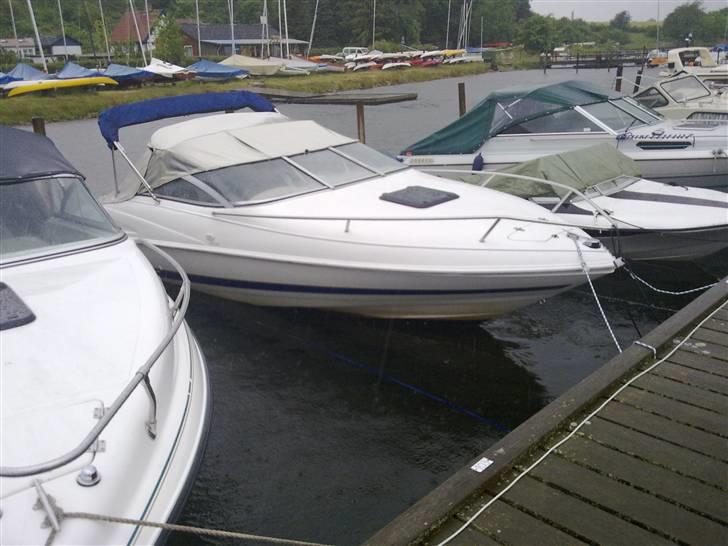Wellcraft exeel billede 10