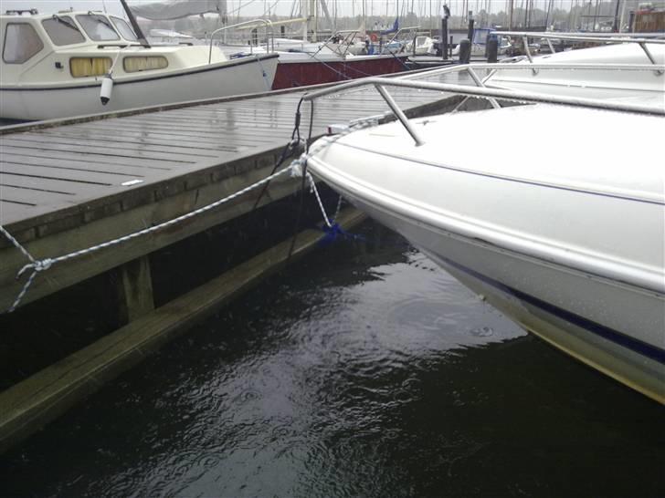 Wellcraft exeel billede 11
