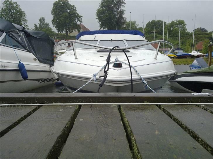 Wellcraft exeel billede 12
