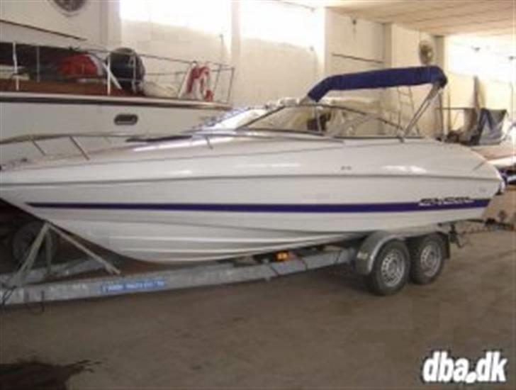 Wellcraft exeel billede 13