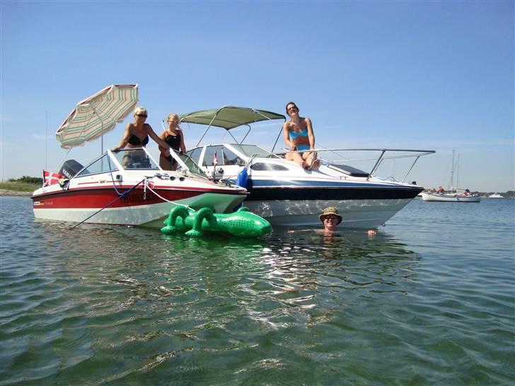 Bayliner 1952 - Sommerferie 2008 ved Årø kan det blive mere skøn  billede 19