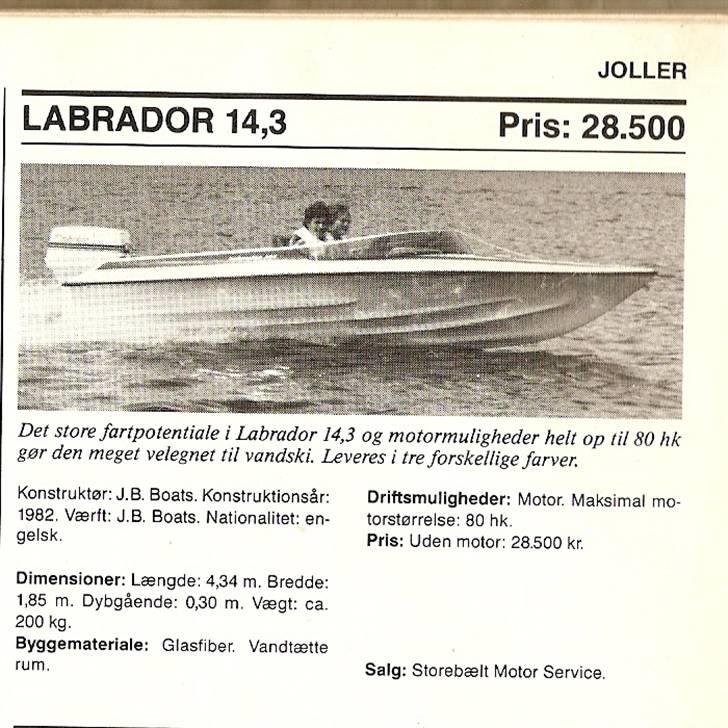 Labrador 153 billede 8