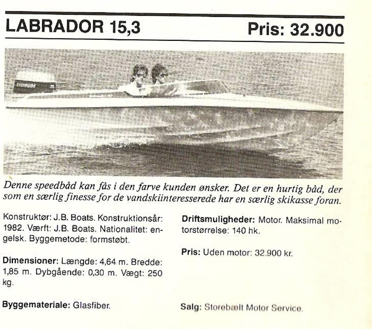 Labrador 153 billede 9