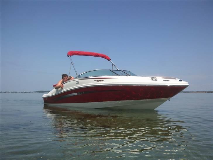 Sea Ray 185 Sport billede 9