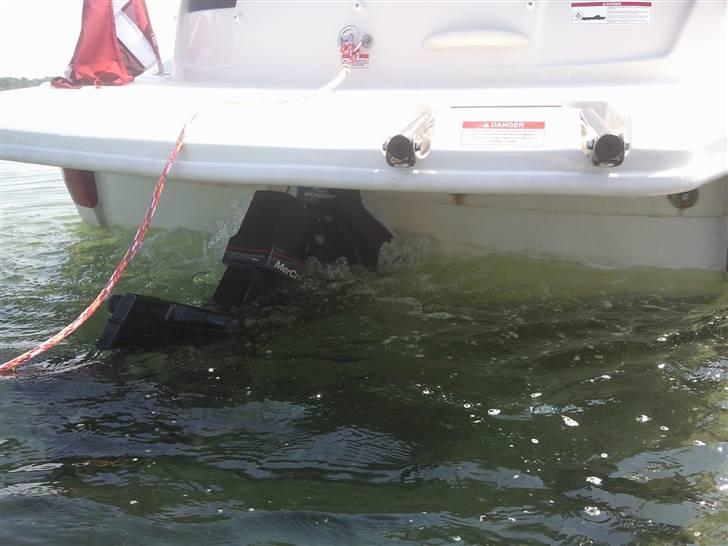 Sea Ray 185 Sport billede 12