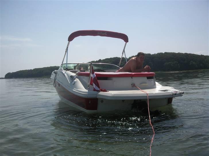 Sea Ray 185 Sport billede 13