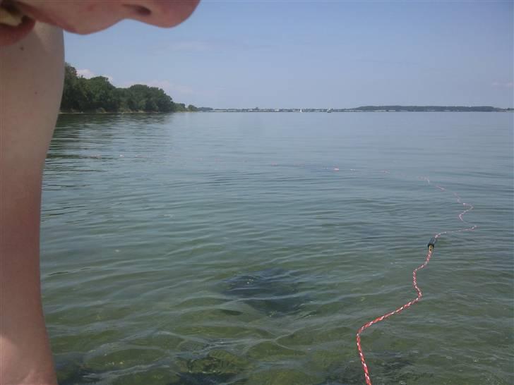 Sea Ray 185 Sport billede 14