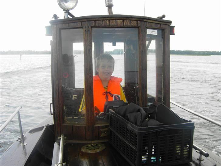 Damjolle viemose billede 1