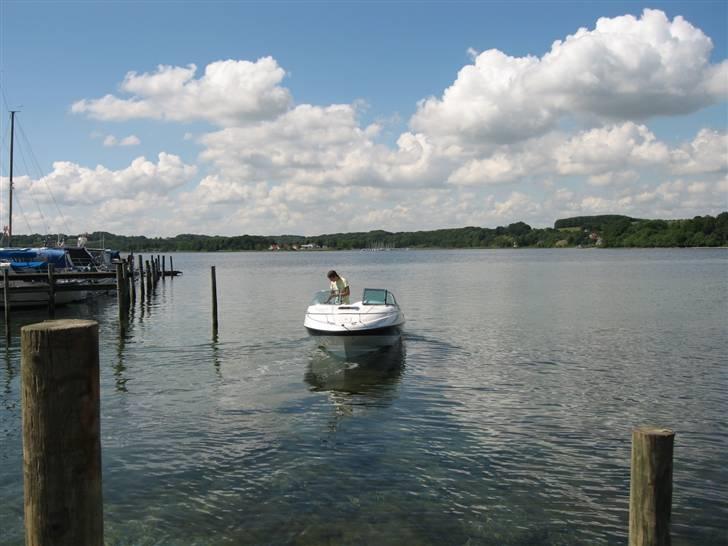 X Viper 203 - Tøffer stille og roligt ud af havnen :) billede 8