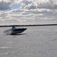 Bayliner 175 BR [Tidl.båd]