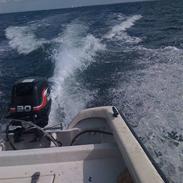 Fisher 17