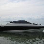 Bayliner 212 carpi.