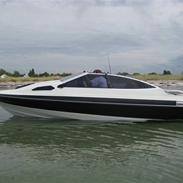 Bayliner 212 carpi.