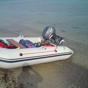 X seago 290