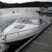 Wellcraft EXCEL 21 SL *SOLGT*