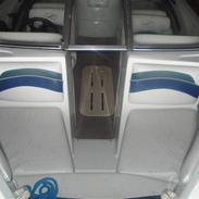 Starcraft 1710