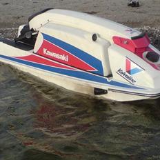 Kawasaki 300