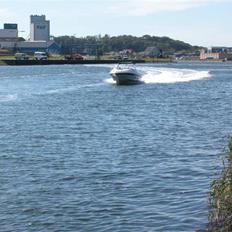 Bayliner 11802 Capri