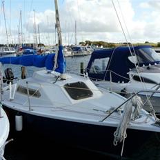 Edel 545