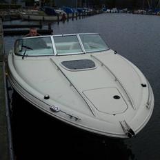 Sea Ray 240 sunrunner