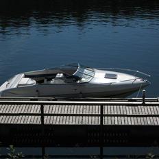 Wellcraft EXCEL 21 SL *SOLGT*