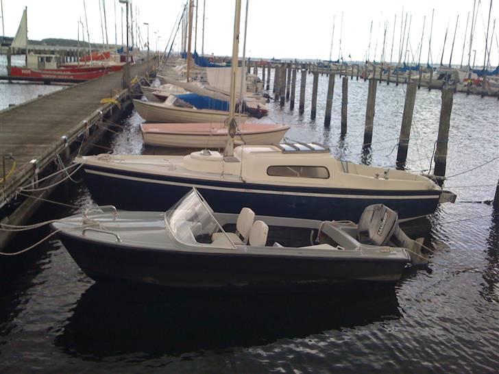 Monarch 15 fod billede 11