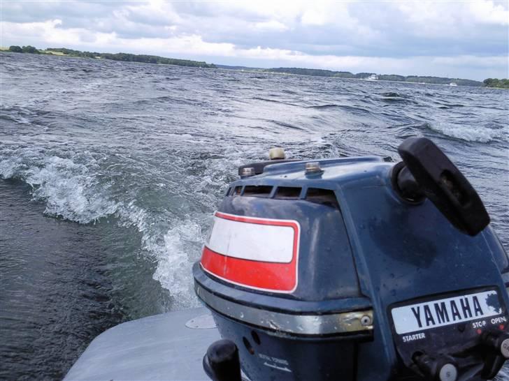 Jagt mopa lll Dolfin billede 4