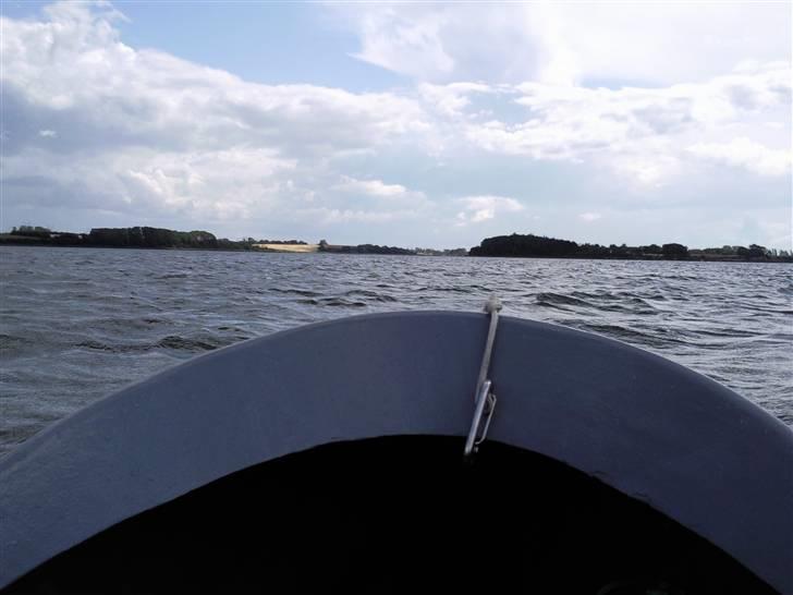 Jagt mopa lll Dolfin billede 5